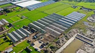 Aalsmeer - 38.308 m²