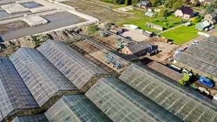 Aalsmeer - 38.308 m²